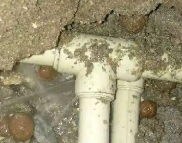 安多测漏水多少钱