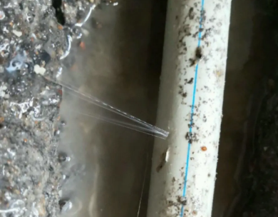 安多测漏水哪家好